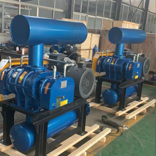 ഇന്നൊവേറ്റീവ് ഡെൻസ് ടൈപ്പ് റൂട്ട്സ് ബ്ലോവർ വ്യാവസായിക എയർഫ്ലോ മാനേജ്മെൻ്റ് വിപ്ലവം സൃഷ്ടിക്കുന്നു